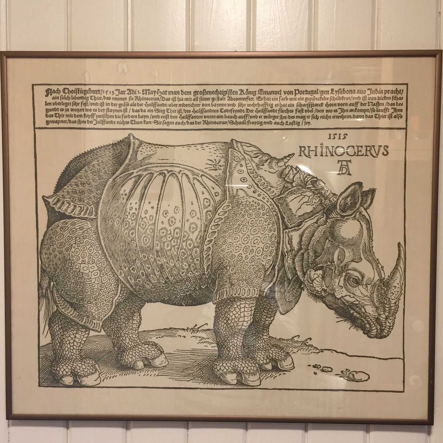 Antique Botanical Hippopotamus print